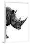 Safari Profile Collection - Rhino White Edition IV-Philippe Hugonnard-Framed Photographic Print