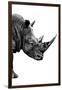 Safari Profile Collection - Rhino White Edition IV-Philippe Hugonnard-Framed Photographic Print