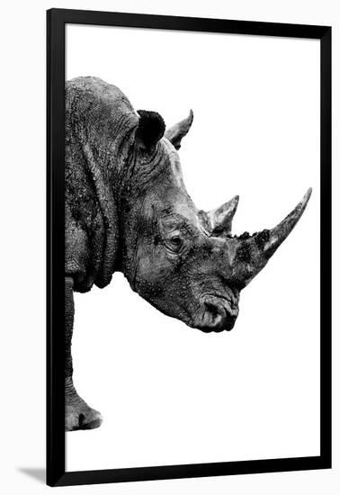 Safari Profile Collection - Rhino White Edition IV-Philippe Hugonnard-Framed Photographic Print