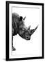 Safari Profile Collection - Rhino White Edition IV-Philippe Hugonnard-Framed Premium Photographic Print