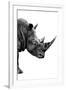 Safari Profile Collection - Rhino White Edition IV-Philippe Hugonnard-Framed Photographic Print