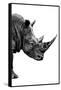 Safari Profile Collection - Rhino White Edition IV-Philippe Hugonnard-Framed Stretched Canvas