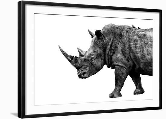 Safari Profile Collection - Rhino White Edition-Philippe Hugonnard-Framed Photographic Print