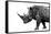 Safari Profile Collection - Rhino White Edition-Philippe Hugonnard-Framed Stretched Canvas