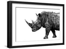 Safari Profile Collection - Rhino White Edition-Philippe Hugonnard-Framed Photographic Print