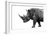 Safari Profile Collection - Rhino White Edition-Philippe Hugonnard-Framed Photographic Print