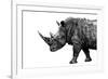 Safari Profile Collection - Rhino White Edition-Philippe Hugonnard-Framed Photographic Print