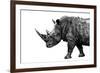 Safari Profile Collection - Rhino White Edition-Philippe Hugonnard-Framed Photographic Print