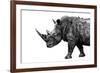 Safari Profile Collection - Rhino White Edition-Philippe Hugonnard-Framed Photographic Print