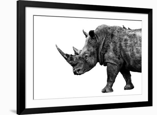 Safari Profile Collection - Rhino White Edition-Philippe Hugonnard-Framed Photographic Print