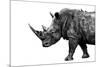Safari Profile Collection - Rhino White Edition-Philippe Hugonnard-Mounted Photographic Print