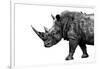 Safari Profile Collection - Rhino White Edition-Philippe Hugonnard-Framed Photographic Print