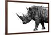 Safari Profile Collection - Rhino White Edition-Philippe Hugonnard-Framed Photographic Print