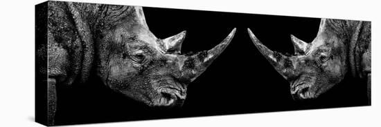 Safari Profile Collection - Rhinos Face to Face Black Edition II-Philippe Hugonnard-Stretched Canvas