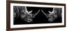 Safari Profile Collection - Rhinos Face to Face Black Edition II-Philippe Hugonnard-Framed Photographic Print