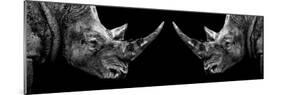 Safari Profile Collection - Rhinos Face to Face Black Edition II-Philippe Hugonnard-Mounted Photographic Print