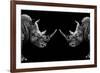 Safari Profile Collection - Rhinos Face to Face Black Edition-Philippe Hugonnard-Framed Photographic Print