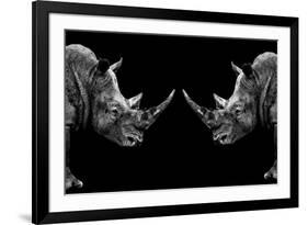 Safari Profile Collection - Rhinos Face to Face Black Edition-Philippe Hugonnard-Framed Photographic Print