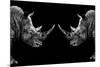 Safari Profile Collection - Rhinos Face to Face Black Edition-Philippe Hugonnard-Mounted Photographic Print