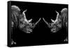 Safari Profile Collection - Rhinos Face to Face Black Edition-Philippe Hugonnard-Framed Stretched Canvas