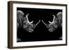 Safari Profile Collection - Rhinos Face to Face Black Edition-Philippe Hugonnard-Framed Photographic Print