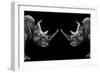 Safari Profile Collection - Rhinos Face to Face Black Edition-Philippe Hugonnard-Framed Photographic Print