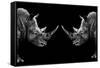 Safari Profile Collection - Rhinos Face to Face Black Edition-Philippe Hugonnard-Framed Stretched Canvas