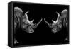 Safari Profile Collection - Rhinos Face to Face Black Edition-Philippe Hugonnard-Framed Stretched Canvas