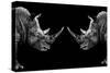 Safari Profile Collection - Rhinos Face to Face Black Edition-Philippe Hugonnard-Stretched Canvas