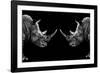 Safari Profile Collection - Rhinos Face to Face Black Edition-Philippe Hugonnard-Framed Photographic Print