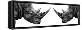 Safari Profile Collection - Rhinos Face to Face White Edition II-Philippe Hugonnard-Framed Stretched Canvas