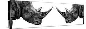 Safari Profile Collection - Rhinos Face to Face White Edition II-Philippe Hugonnard-Stretched Canvas