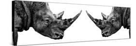 Safari Profile Collection - Rhinos Face to Face White Edition II-Philippe Hugonnard-Stretched Canvas