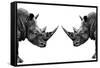 Safari Profile Collection - Rhinos Face to Face White Edition-Philippe Hugonnard-Framed Stretched Canvas