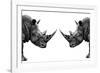 Safari Profile Collection - Rhinos Face to Face White Edition-Philippe Hugonnard-Framed Photographic Print