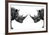 Safari Profile Collection - Rhinos Face to Face White Edition-Philippe Hugonnard-Framed Photographic Print