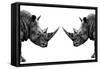 Safari Profile Collection - Rhinos Face to Face White Edition-Philippe Hugonnard-Framed Stretched Canvas