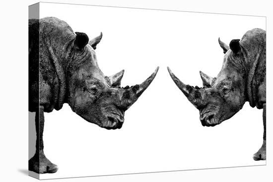 Safari Profile Collection - Rhinos Face to Face White Edition-Philippe Hugonnard-Stretched Canvas