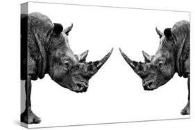 Safari Profile Collection - Rhinos Face to Face White Edition-Philippe Hugonnard-Stretched Canvas