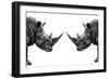 Safari Profile Collection - Rhinos Face to Face White Edition-Philippe Hugonnard-Framed Photographic Print