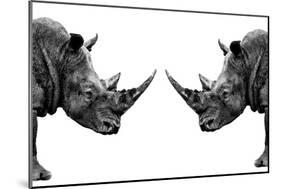 Safari Profile Collection - Rhinos Face to Face White Edition-Philippe Hugonnard-Mounted Photographic Print