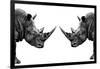 Safari Profile Collection - Rhinos Face to Face White Edition-Philippe Hugonnard-Framed Photographic Print