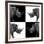 Safari Profile Collection - Rhinos II-Philippe Hugonnard-Framed Photographic Print