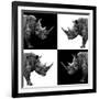 Safari Profile Collection - Rhinos II-Philippe Hugonnard-Framed Photographic Print