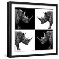 Safari Profile Collection - Rhinos II-Philippe Hugonnard-Framed Photographic Print