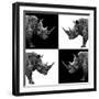 Safari Profile Collection - Rhinos II-Philippe Hugonnard-Framed Photographic Print