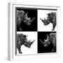 Safari Profile Collection - Rhinos II-Philippe Hugonnard-Framed Photographic Print