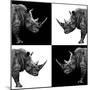 Safari Profile Collection - Rhinos II-Philippe Hugonnard-Mounted Photographic Print