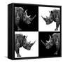 Safari Profile Collection - Rhinos II-Philippe Hugonnard-Framed Stretched Canvas