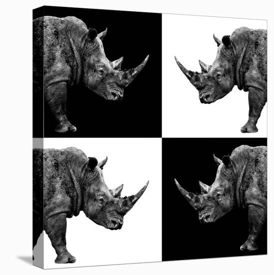 Safari Profile Collection - Rhinos II-Philippe Hugonnard-Stretched Canvas
